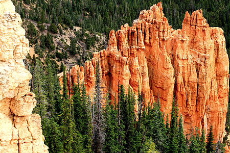 Bryce canyon, Hoodoo, Utah, Canyon, Park, természet, utazás