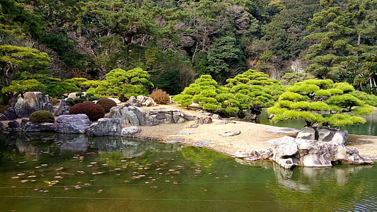 ritsurin garden, shikoku, japan, pine, pond, reflection, water