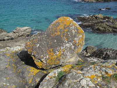 mar, pedras, Líquen, Rock - objeto, natureza, litoral, praia