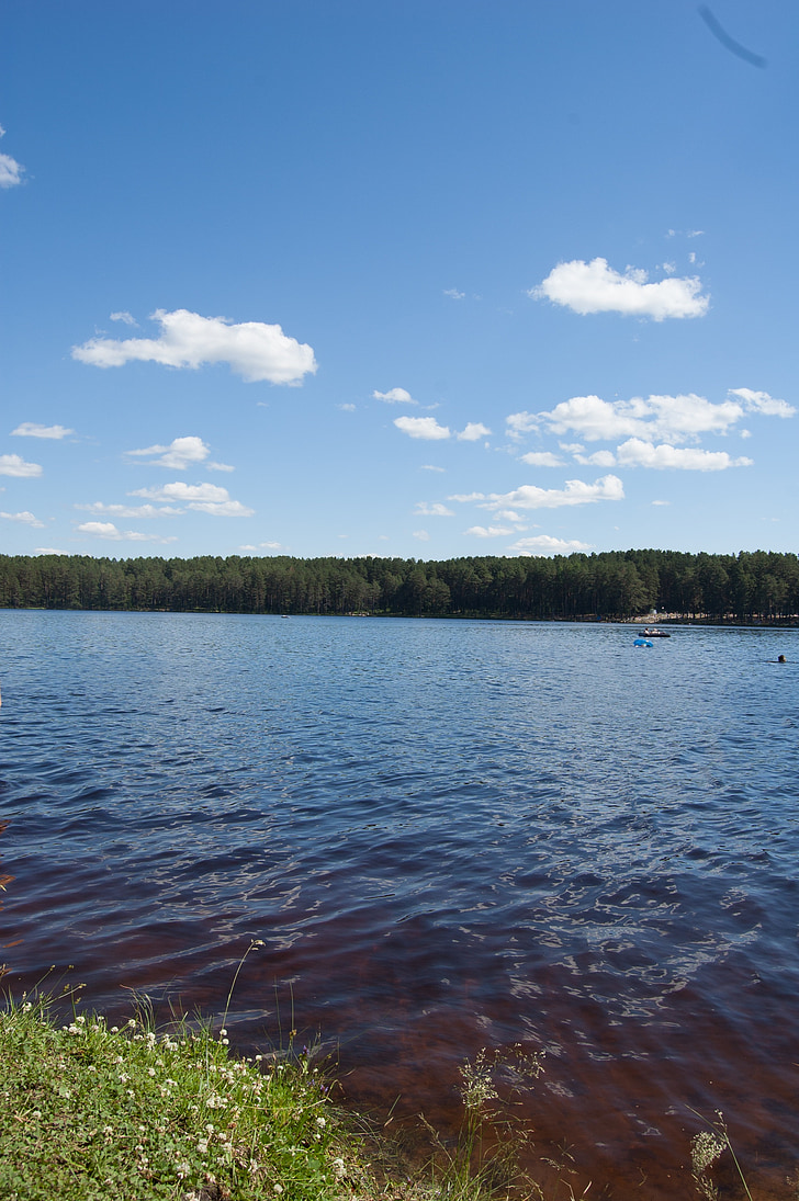 το καλοκαίρι, η λίμνη της Σιβηρίας, Δυτική Σιβηρία, μπλε λίμνη στο πευκοδάσος, Ρωσία