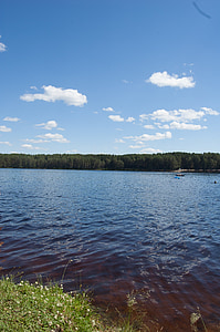 léto, sibiřského jezera, Západní Sibiř, modré jezero v borovém lese, Rusko
