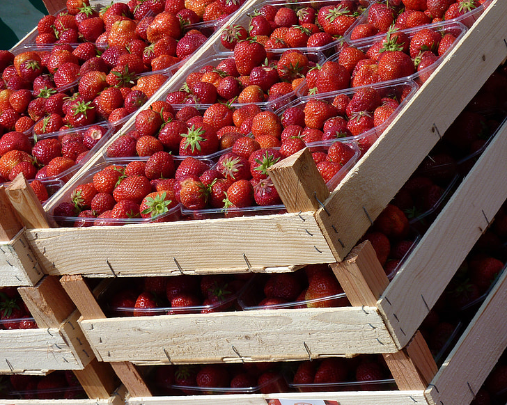 maasikad, puu, puuviljad, Armas, punane, toidu, kasu