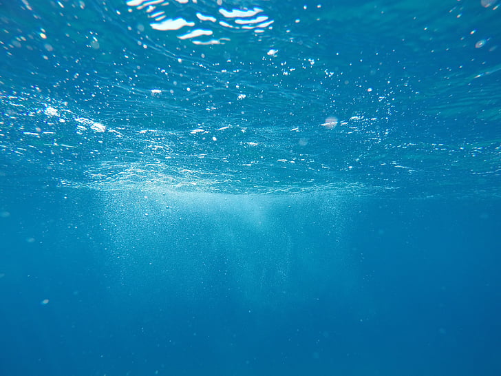 bawah air, fotografi, alam, air, laut, laut, gelembung