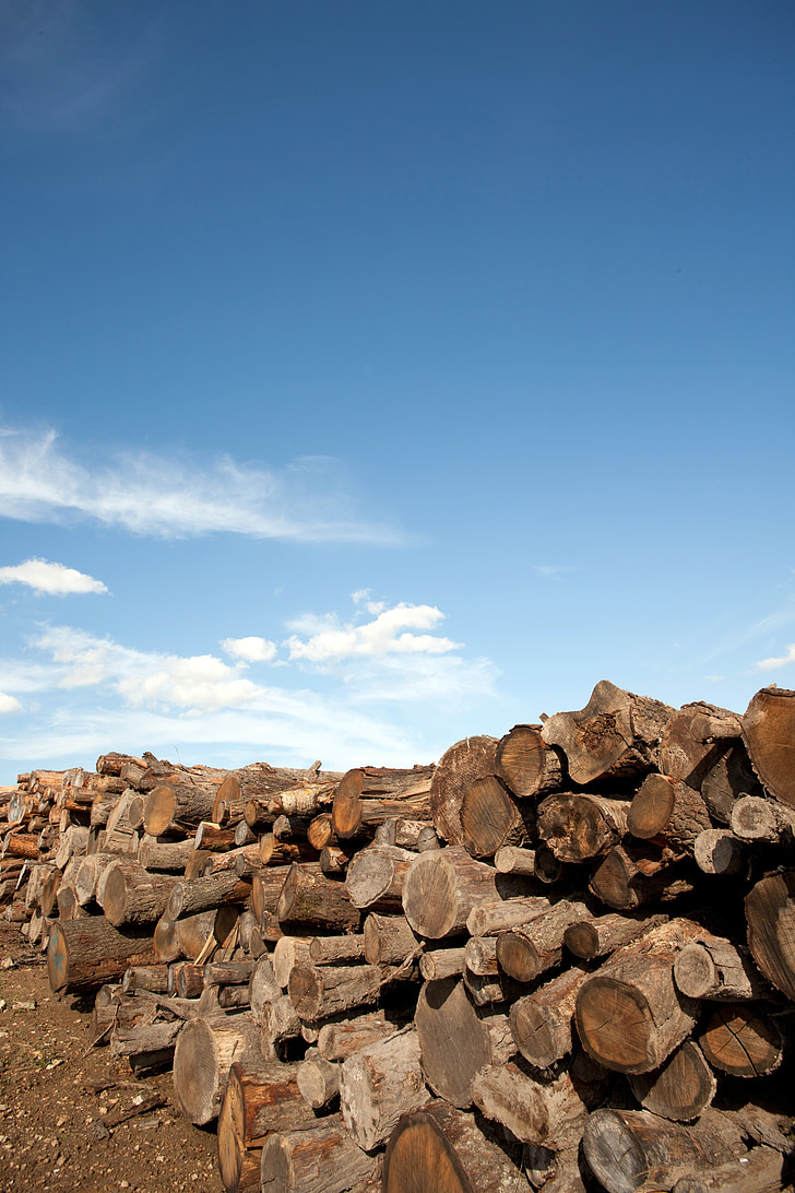 дърва за огрев, дървен материал, дърва за огрев stack, holzstapel, нарастващата наличност, наредени, дребен изключено