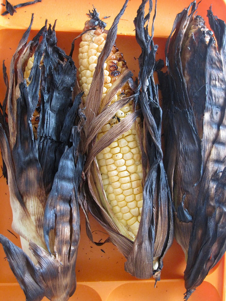 corn, kernels, burnt, yellow, indian, maize, plant