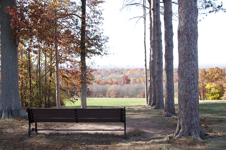 bên ngoài, Thiên nhiên, băng ghế dự bị, công viên, gỗ, ngoài trời, mùa giải