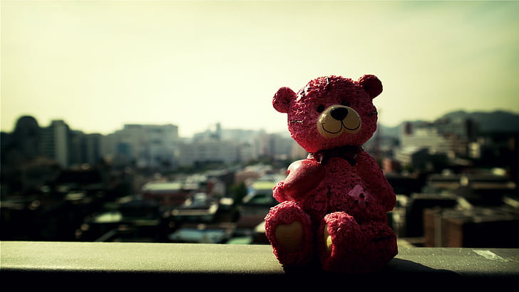 teddy, bear, toy