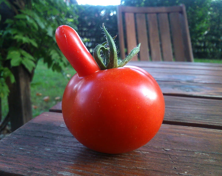 funny, tomato, red, vegetable, fresh