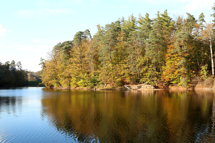 Lago, autunno, natura, bear lake, Stoccarda, riflettere