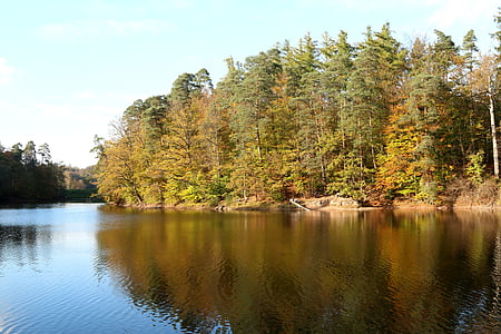 湖, 秋天, 自然, 熊湖, 斯图加特, 反映