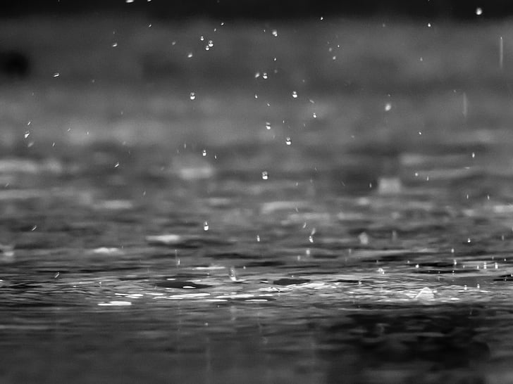 tetes, air, tubuh, grayscale, foto, hujan, tetes hujan
