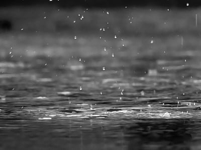 csepp, víz, test, szürkeárnyalatos, Fénykép, eső, eső esik