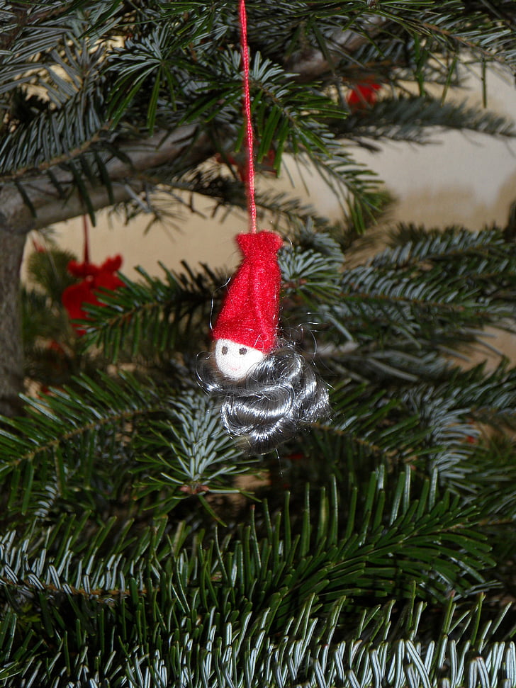 imp, jedľa, trpaslík, Holly, Vianočné ozdoby, ihličnatý strom