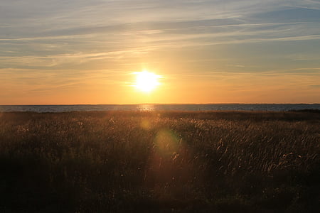 Ostsee, Meer, Sonnenuntergang, Gold, Natur, Wasser, Sonne