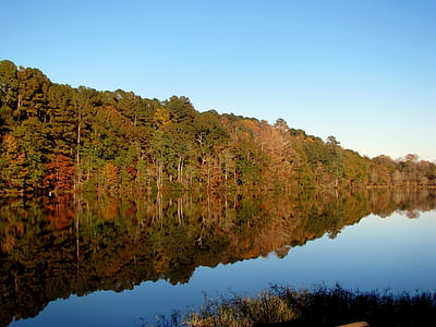 jezero, vode, drvo, krajolik, krajolik, priroda, jesen