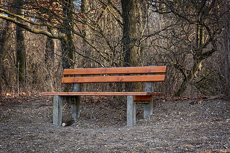 bench, bank, seat, nature, out, rest, resting place