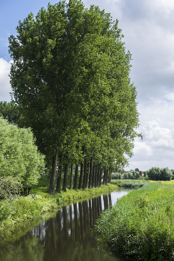 Damme Brugge, kanali, valgus, loodus