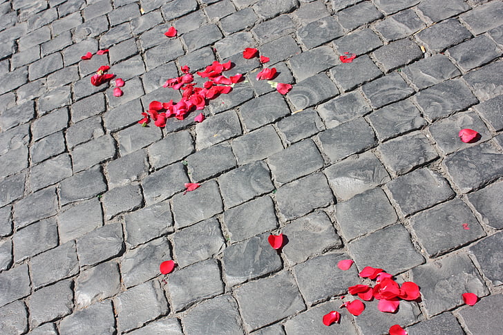 Straße, gepflastert, Blütenblätter von Rosen, Textur, Hintergrund, abstrakt
