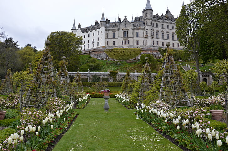 slott, trädgård, historiskt sett, romantiska