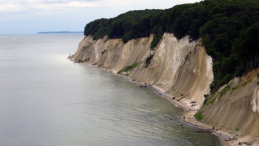 aukšto kranto takas, Rodyti, baltos Doverio uolos, Rügen, Sassnitz, medžiai, šlaito