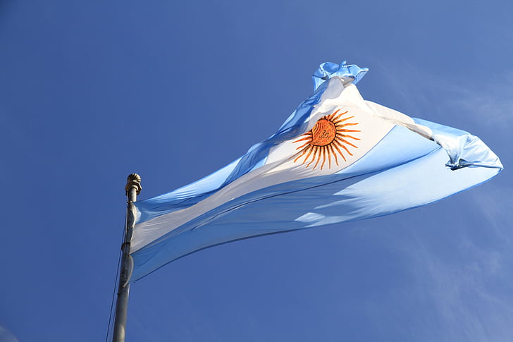 obloha, modrá, vlajka, Argentina, argentinský, jedno zvíře, zvířecí přírody