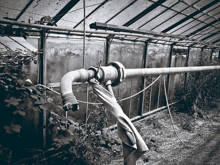 greenhouse, ruin, tube, leave, duisburg, black and white, decay