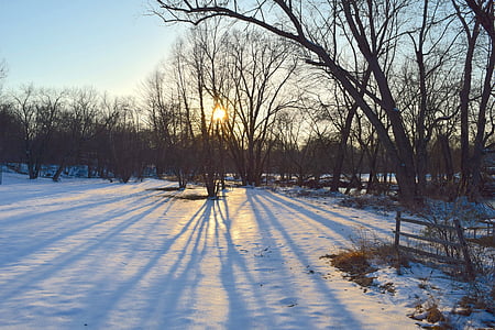 śnieg, Park, zachód słońca, światło, cienie, zimowe, zimno