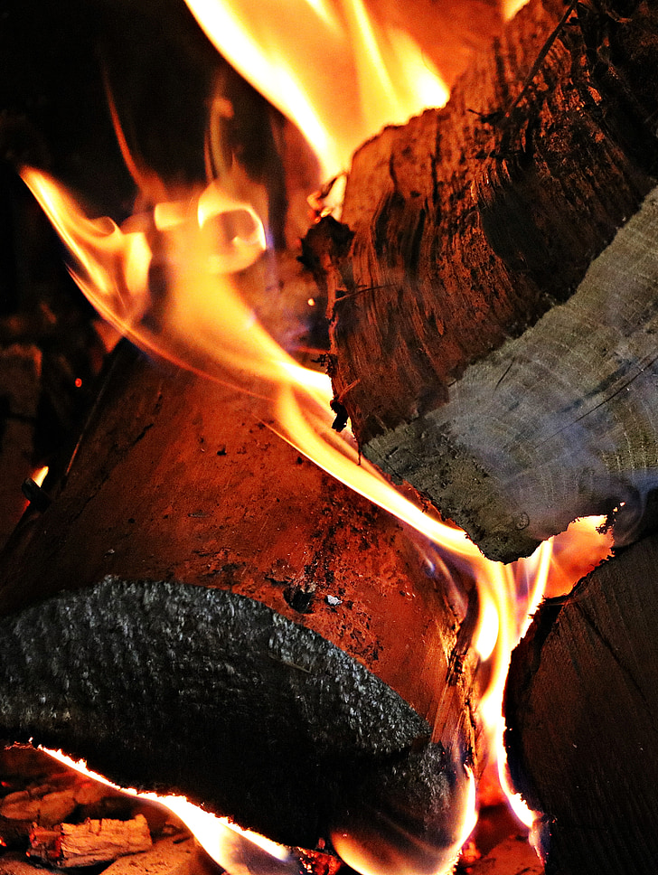 fogo, madeira, brasas, flama, fogueira, aventura, lareira