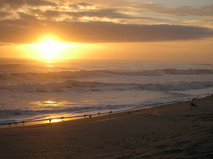 sunrise, sun, beach