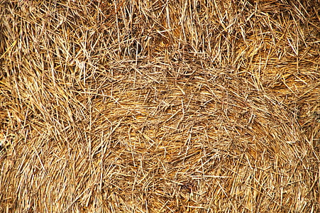 straw bales, round bales, stacked, layered, cattle feed, harvest, agriculture