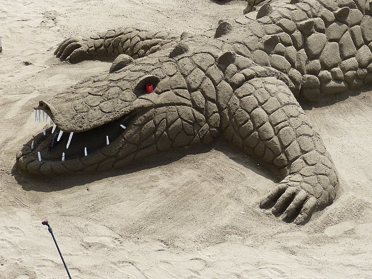 skulpturu, aligator, krokodil, pijesak, odmor, plaža, pješčana slika