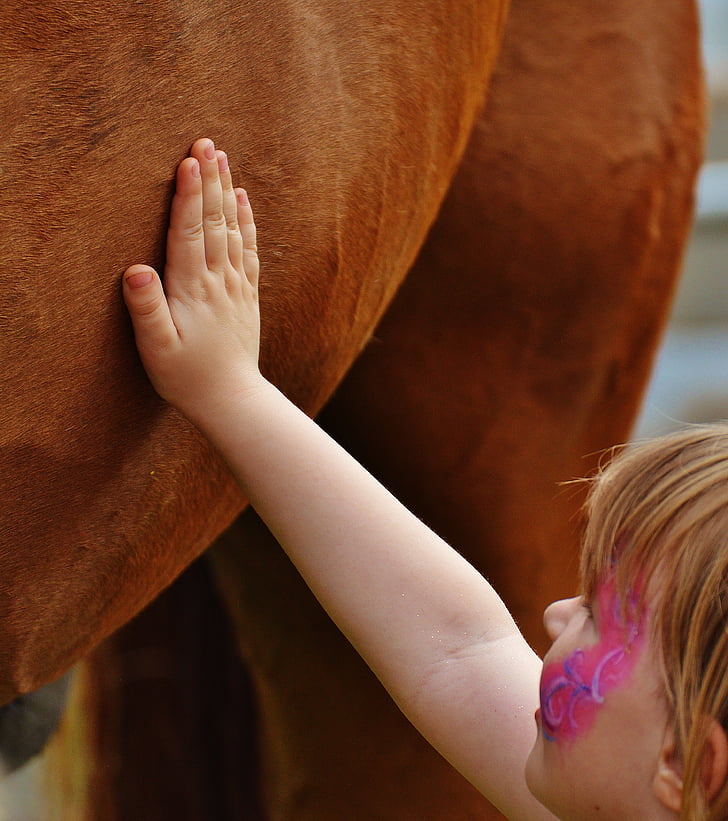 deklica, velik konj, kap, ljubezen, krzno, roko, otrokovo roko