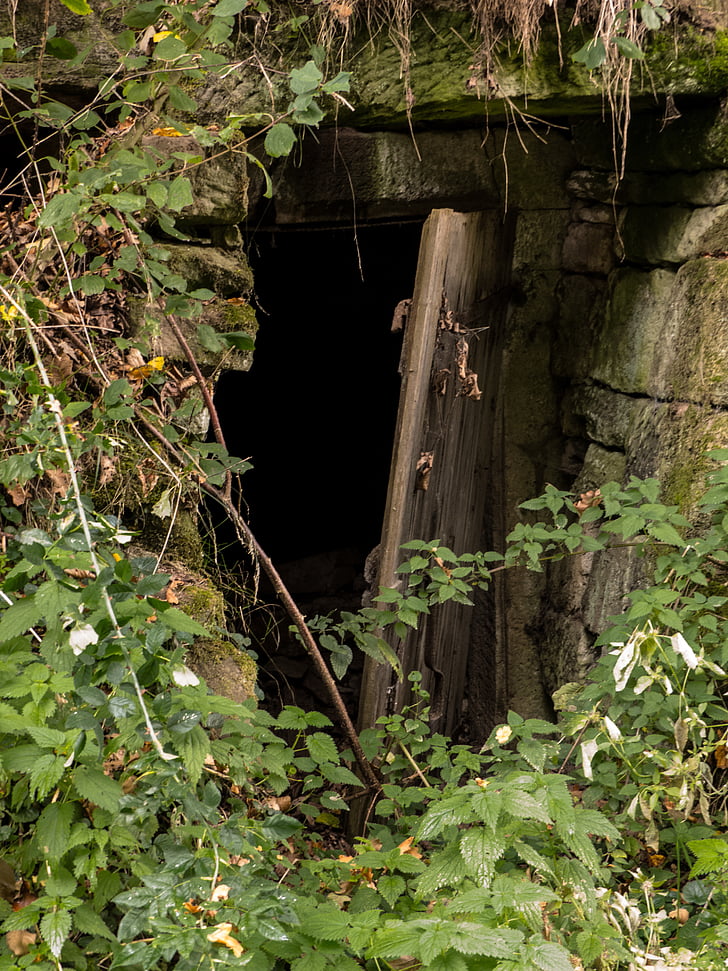 ancient doorway, overgrown, ruin, abandoned, rustic, creepy, outdoors