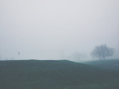 white, fog, golf, Landscape, field, nature, foggy