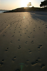 пляж, не в песке, песок, мне?, Бретань, Карнак, Природа