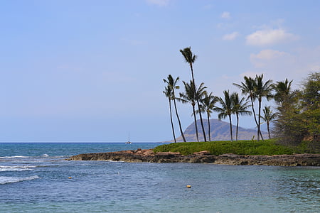 Hawaii, Playa, Océano, Playa de Hawaii, vacaciones, viajes, estilo de vida