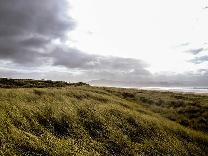 трева, ливада, Ирландия, облаците, пейзаж, драматични