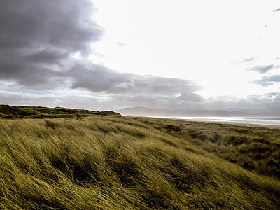 草, 草原, アイルランド, 雲, 風景, 劇的です