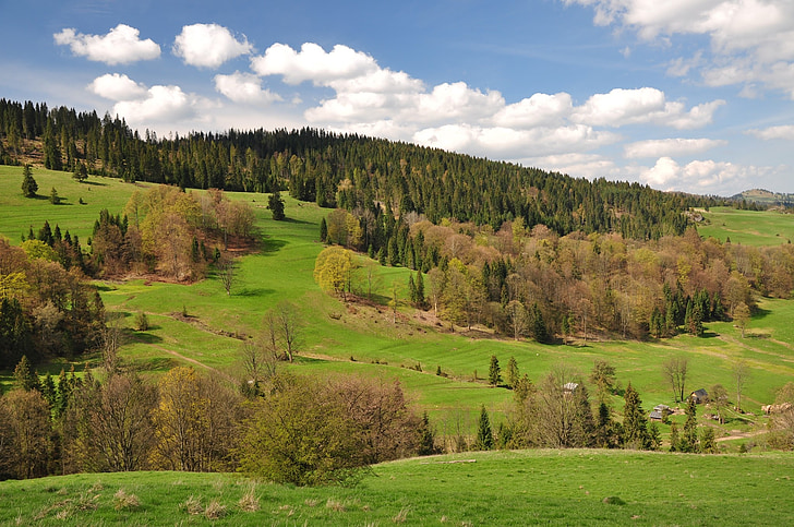 meadow, nature, view, landscape, green, mountains, pieniny
