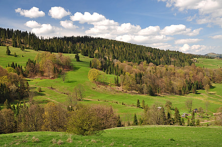 travnik, narave, pogled, krajine, zelena, gore, Pieniny