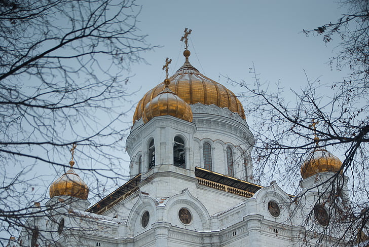 moscow, cathedral, orthodox, cupolas, dome, bare tree, architecture
