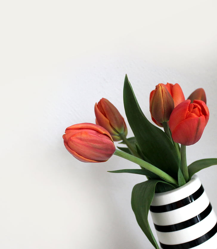 tulipani, vaza, šopek, cvetje, proge, pomlad, oranžna
