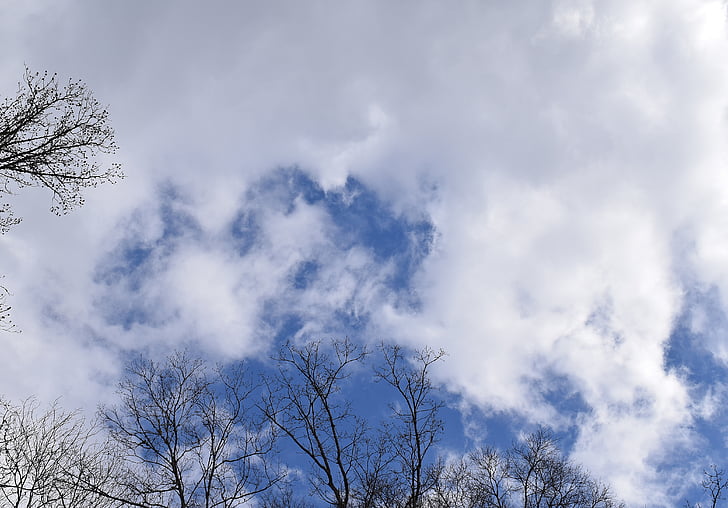 svežnju oblak, modro nebo, oblaki, krajine, narave, cloudscape, Pramenast