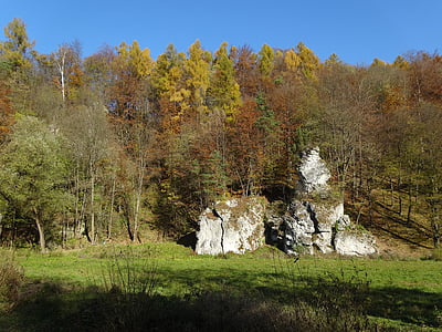 ojcowie-założyciele, Polska, park narodowy, krajobraz, Rock, Natura, jesień