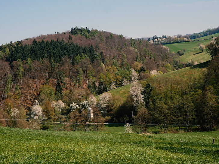 Odenwald, kultúrtáj, vegyes erdő, südhessen, Németország, felvidék, tavaszi