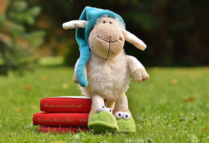 羊, ぼす, 草原, ぬいぐるみ, 書籍, おやすみの物語します。, 読み取り