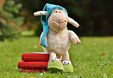 owiec, Śpioch, łąka, Plush, książki, dobranoc opowieści, Czytaj