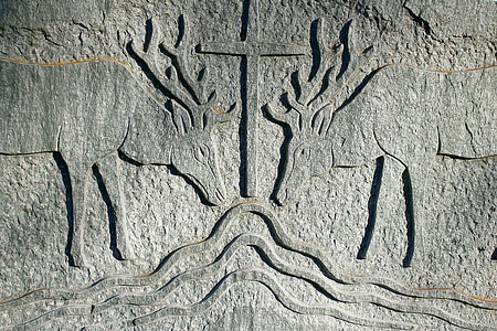 relief, stone, symbol, nature, wild, hirsch, antler