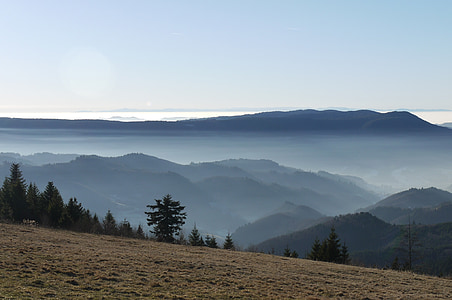 bergen, moln, Schwarzwald, dimma, landskap, Mountain, naturen