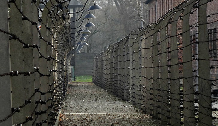 auschwitz, history, concentration camp, the museum, fence